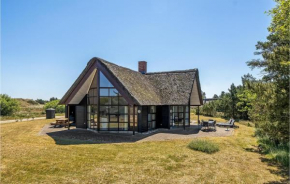 3 Bedroom Beautiful Home In Blåvand